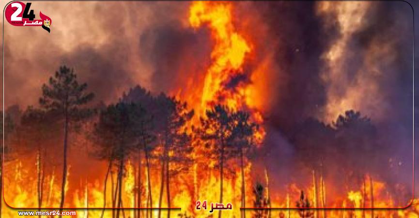 حرائق الغابات في الجزائر - أرشيفية